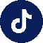 TikTok logo icon