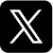 X Icon